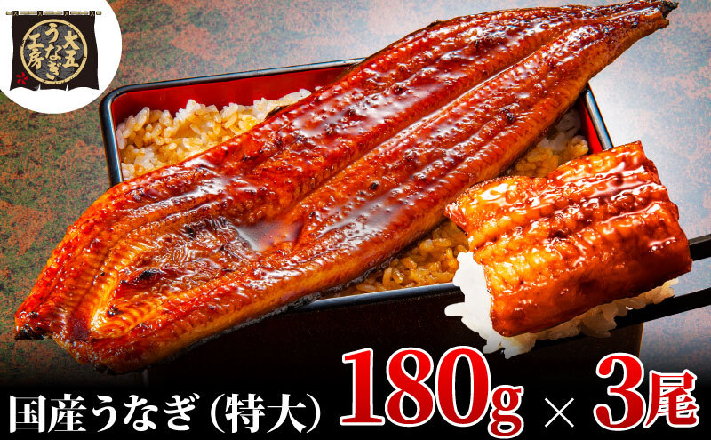 うなぎ蒲焼 180g×3尾(540g) うなぎ ウナギ 鰻 蒲焼 蒲焼き冷凍 国産 大五 大五通商 静岡 島田市静岡県島田市18000魚介・海産物うなぎ