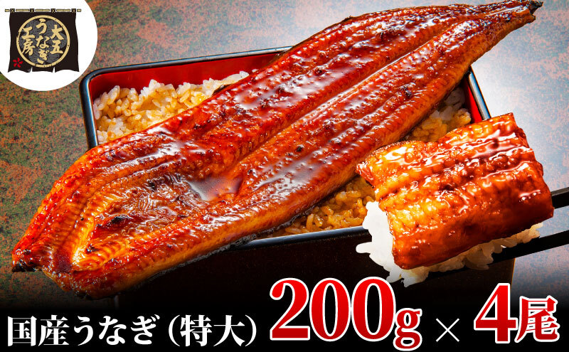 うなぎ蒲焼 200g×4尾(800g) うなぎ ウナギ 鰻 蒲焼 蒲焼き冷凍 国産 大五 大五通商 静岡 島田市静岡県島田市27000魚介・海産物うなぎ