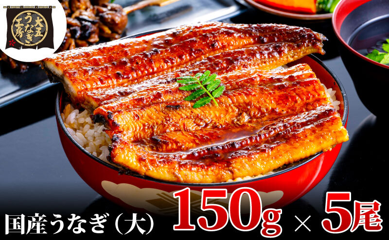 Ȃ 150g×5(750g) Ȃ EiM V  ĂⓀ Y  ܒʏ É csÉcs25000ECYȂ