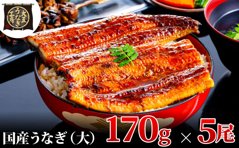 Ȃ 170g×5(850g) Ȃ EiM V  ĂⓀ Y  ܒʏ É csÉcs28000ECYȂ