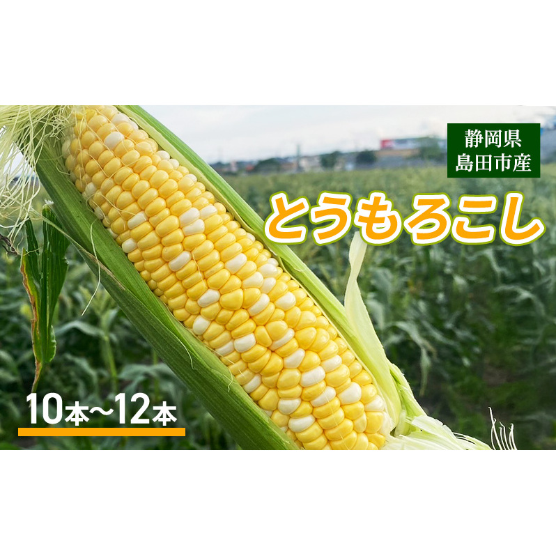 y2025N6{菇zÉcsY Ƃ낱 10{`12{yzsFkCEEzÉcs16000؁ÊƂ낱