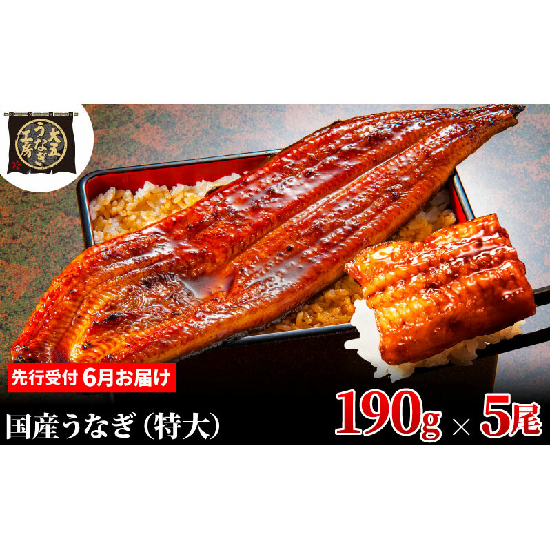 先行受付 【6月上旬配送】 うなぎ蒲焼 190g×5尾(950g) うなぎ 鰻 蒲焼 蒲焼き 大五通商 静岡 島田市静岡県島田市36000魚介・海産物うなぎ
