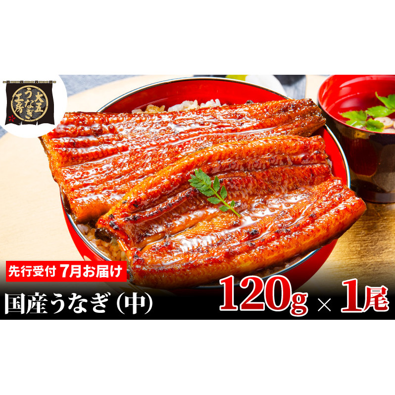 先行受付 【7月上旬配送】 うなぎ蒲焼 120g×1尾 うなぎ 鰻 蒲焼 蒲焼き 大五通商 静岡 島田市静岡県島田市7000魚介・海産物うなぎ