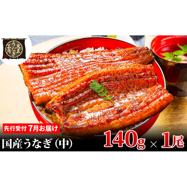 先行受付 【7月上旬配送】 うなぎ蒲焼 140g×1尾 うなぎ 鰻 蒲焼 蒲焼き 大五通商 静岡 島田市静岡県島田市9000魚介・海産物うなぎ