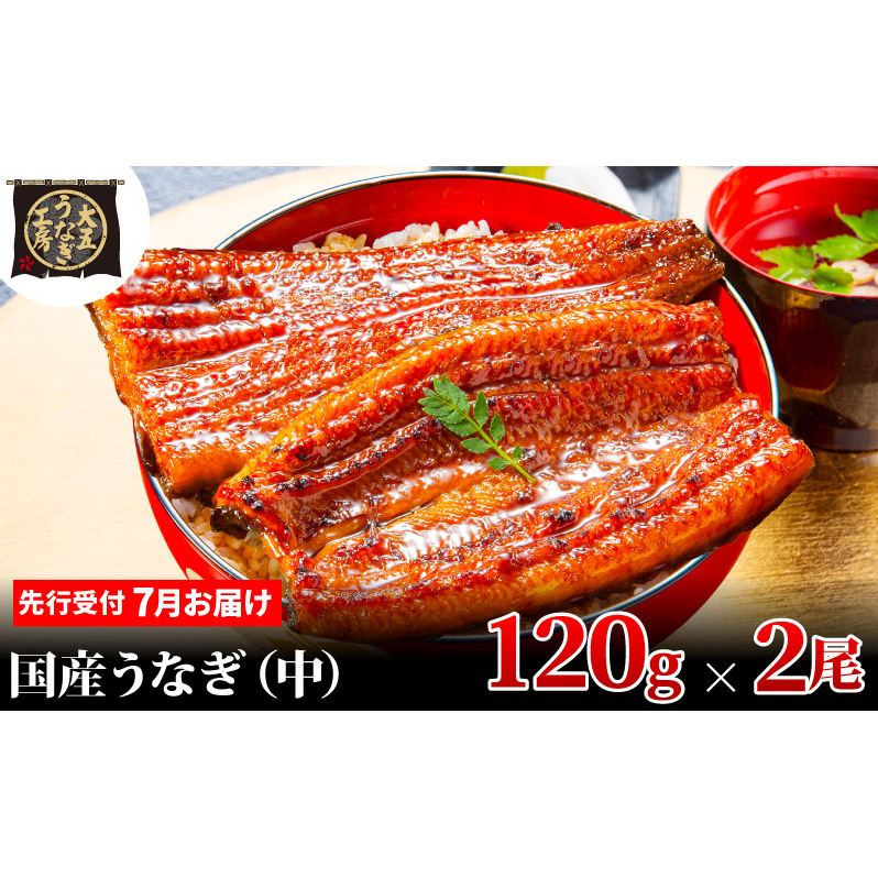st y7{zz Ȃ 120g×2(240g) Ȃ V  Ă ܒʏ É csÉcs10000ECYȂ
