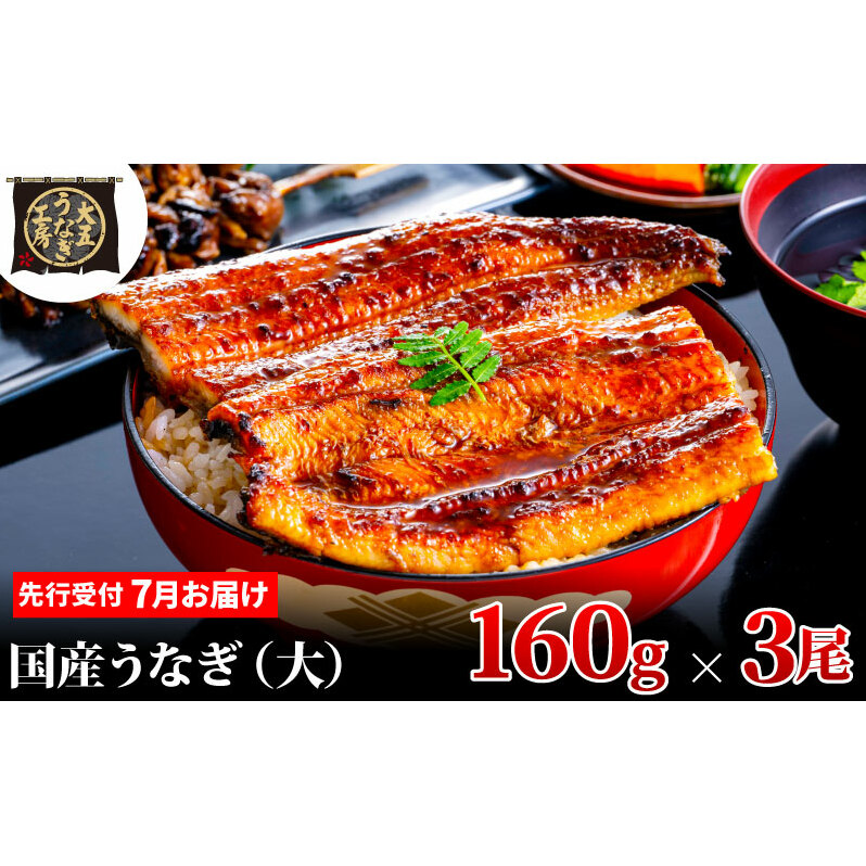 先行受付 【7月上旬配送】 うなぎ蒲焼 160g×3尾(480g) うなぎ 鰻 蒲焼 蒲焼き 大五通商 静岡 島田市静岡県島田市19000魚介・海産物うなぎ