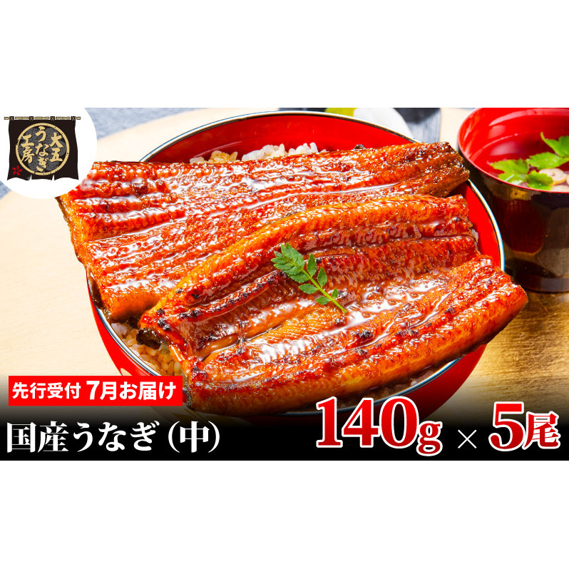 先行受付 【7月上旬配送】 うなぎ蒲焼 140g×5尾(700g) うなぎ 鰻 蒲焼 蒲焼き 大五通商 静岡 島田市静岡県島田市28000魚介・海産物うなぎ
