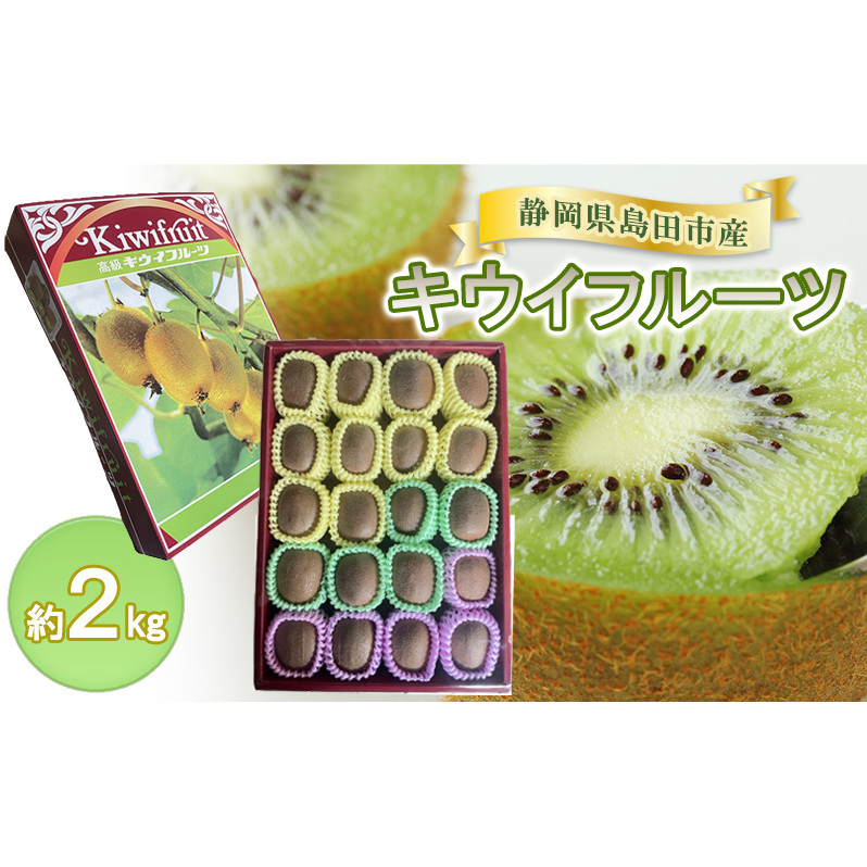 LECt[c@2kg LECt[c  t[c ʕ É cs Écs14000ʕEt[c̑ ʕEt[c