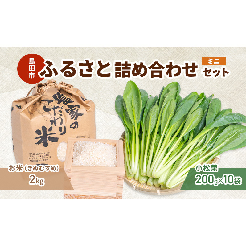 小松菜  お米(きぬむすめ)   詰め合わせ セット2 野菜 やさい こまつな 旬 国産 米 こめ コメ 産地直送 詰合せ 静岡県 島田市静岡県島田市25000野菜・きのこその他 野菜