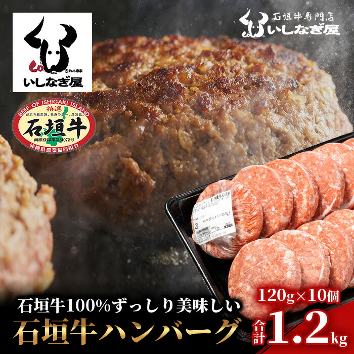 Ί_no[O120g×10yꌧ Ί_s  јa 100 Ί_ r[t no[OzAB-13-2ꌧΊ_s22000