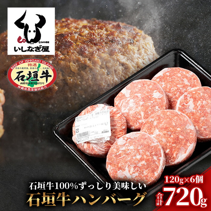 石垣牛ハンバーグ 120g×6個 【高級黒毛和牛 国産 ハンバーグ 国産牛 石垣牛 沖縄県 沖縄 琉球 八重山 八重山諸島 石垣島 石垣 ハンバーグ】AB-16-1沖縄県石垣市13000肉牛肉
