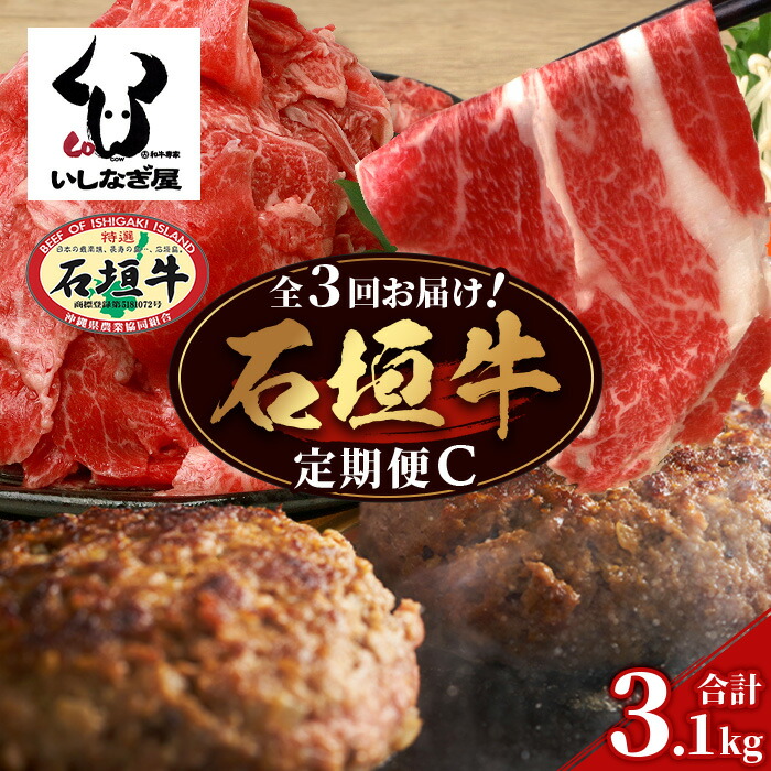【全3回 定期便C】 石垣牛 切り落としスライス・ハンバーグ・肩ロースすきしゃぶ 計3.1kg(いしなぎ屋)【 特選肉 肉 高級 黒毛和牛 和牛 牛 】AB-31沖縄県石垣市64000肉牛肉