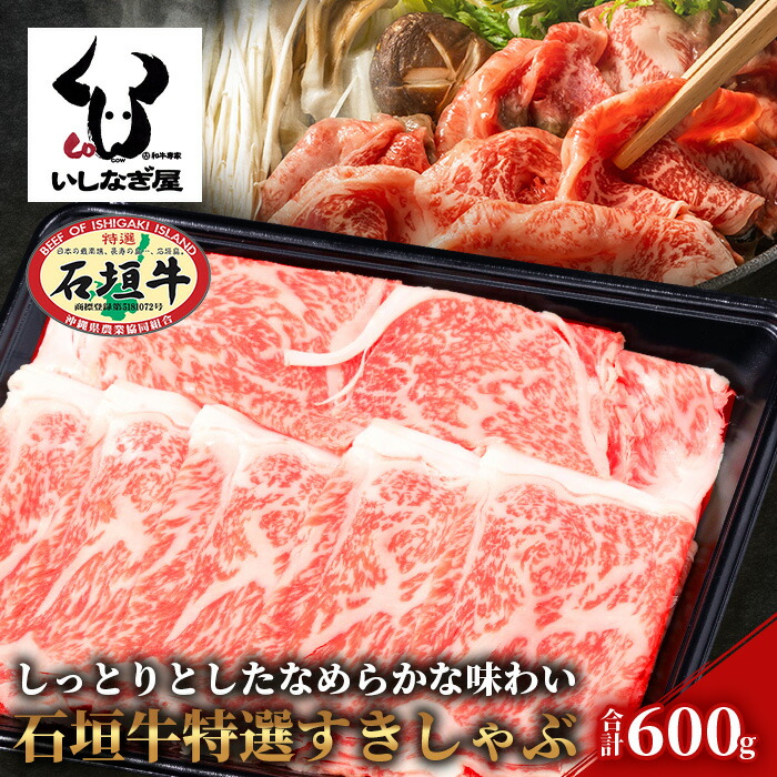 Ί_I600g AB-6ꌧΊ_s50000