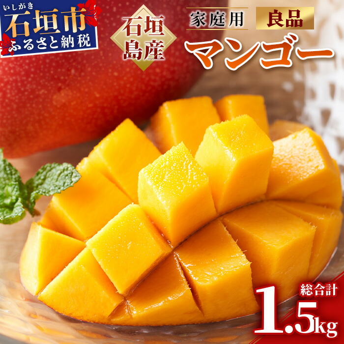 【先行予約】 石垣島産 マンゴー 家庭用(良品)(アーウィン種)3玉〜5玉入り1箱(1.5kg×1箱)合計約1.5kg《2025年6月中旬より順次発送》【 産地直送 家庭用 訳あり 沖縄県 石垣市 石垣島