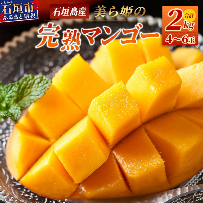 m\tnP}S[2kginEA[EBj2026N7{`y Yn ꌧ Ί_s }S[ t[c ʕ 썑 Ί_ zCB-2ꌧΊ_s30000ʕEt[c}