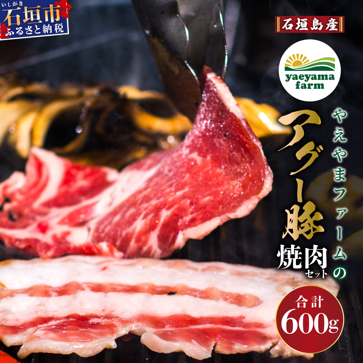 石垣島産 やえやまファームのアグー豚(南ぬ豚)焼肉セット600g E-23沖縄県石垣市20000肉豚肉