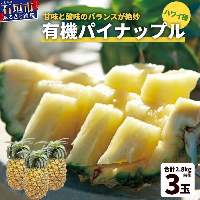 【予約受付】石垣島産 有機パイナップル・ハワイ種 3玉(約2.8kg前後)〈常温〉《7月上旬〜順次発送予定》|パイナップル パインアップル 石垣島パイン フルーツ 果物 くだもの 南国フルー