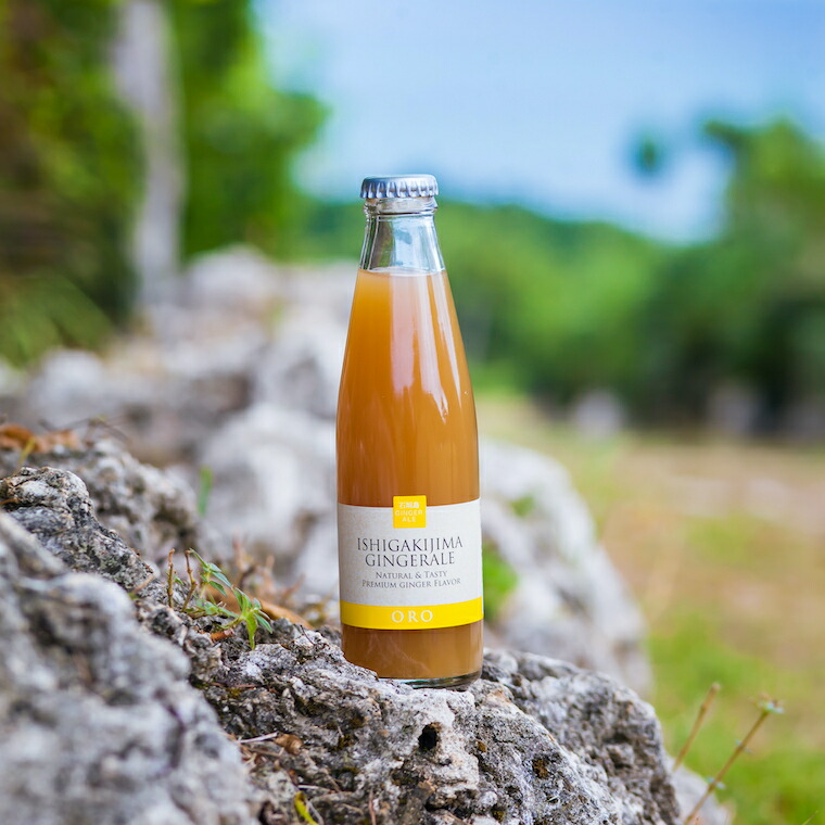E-4 石垣島産ジンジャーエール6種セット沖縄県石垣市15000お茶・飲料その他 お茶・飲料