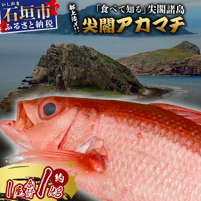 y\tzuh tԃ}` 1 1kg ρyO卂zt hg ċ ϕ N Ⓚ jG VR mH aH g  GK-3ꌧΊ_s30000ECY