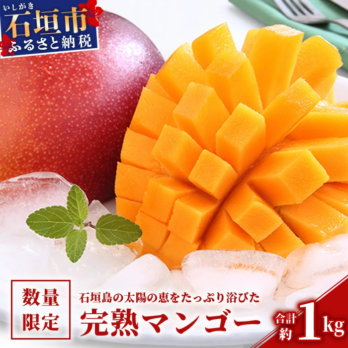 【2026年発送 先行予約】石垣島のマンゴー 約1kg 【沖縄県 石垣市 産地直送 旬 石垣島産 マンゴー 完熟マンゴー アーウィン種マンゴー】申し込みは今のうちに!フルーツ先行予約 HI-1沖縄県
