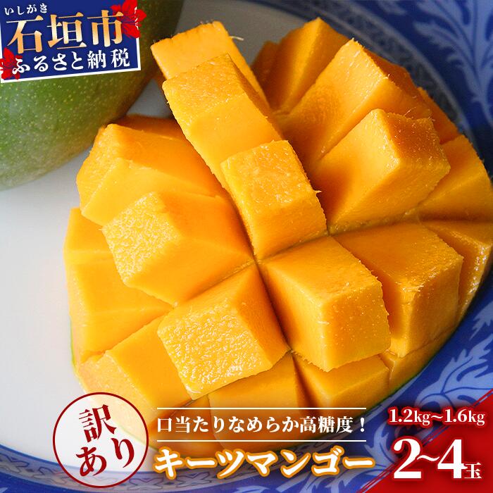 予約受付【訳あり】沖縄県石垣島産 キーツマンゴー 1.2kg〜1.6kg【2〜4玉】【口当たりがなめらかな 高糖度マンゴー】2025年発送分沖縄県石垣市15000果物・フルーツマンゴー・パイナップル