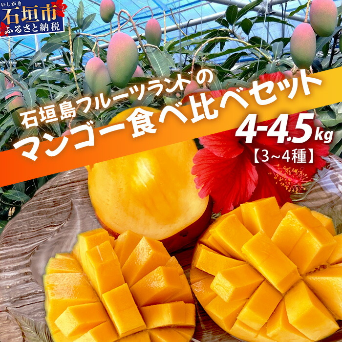 【先行予約】産地直送!石垣島産 マンゴー 食べ比べセット4〜4.5kg (3〜4種)  (2024年6月中旬〜8月下旬発送) IF-8沖縄県石垣市100000果物・フルーツマンゴー・パイナップル