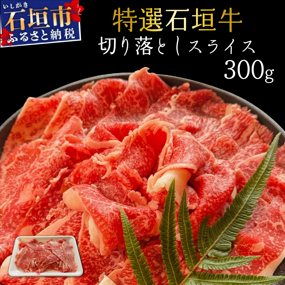 y2025N11ȍ~z󏭂ȓIΊ_ƒŁII؂藎ƂXCX300g |  Ί_ I  ؂藎Ƃ XCX Hה Ԃ Ă | IM-34ꌧΊ_s11000