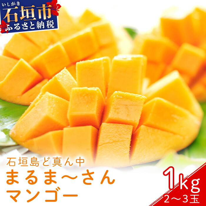 s\񁄁u}S[v ?_ǐ^ ܂܁[ }S[(A[EB) 1kg (2`3) g2026N7菇\hy Yn }S[ A[EB}S[ Abv}S[ 