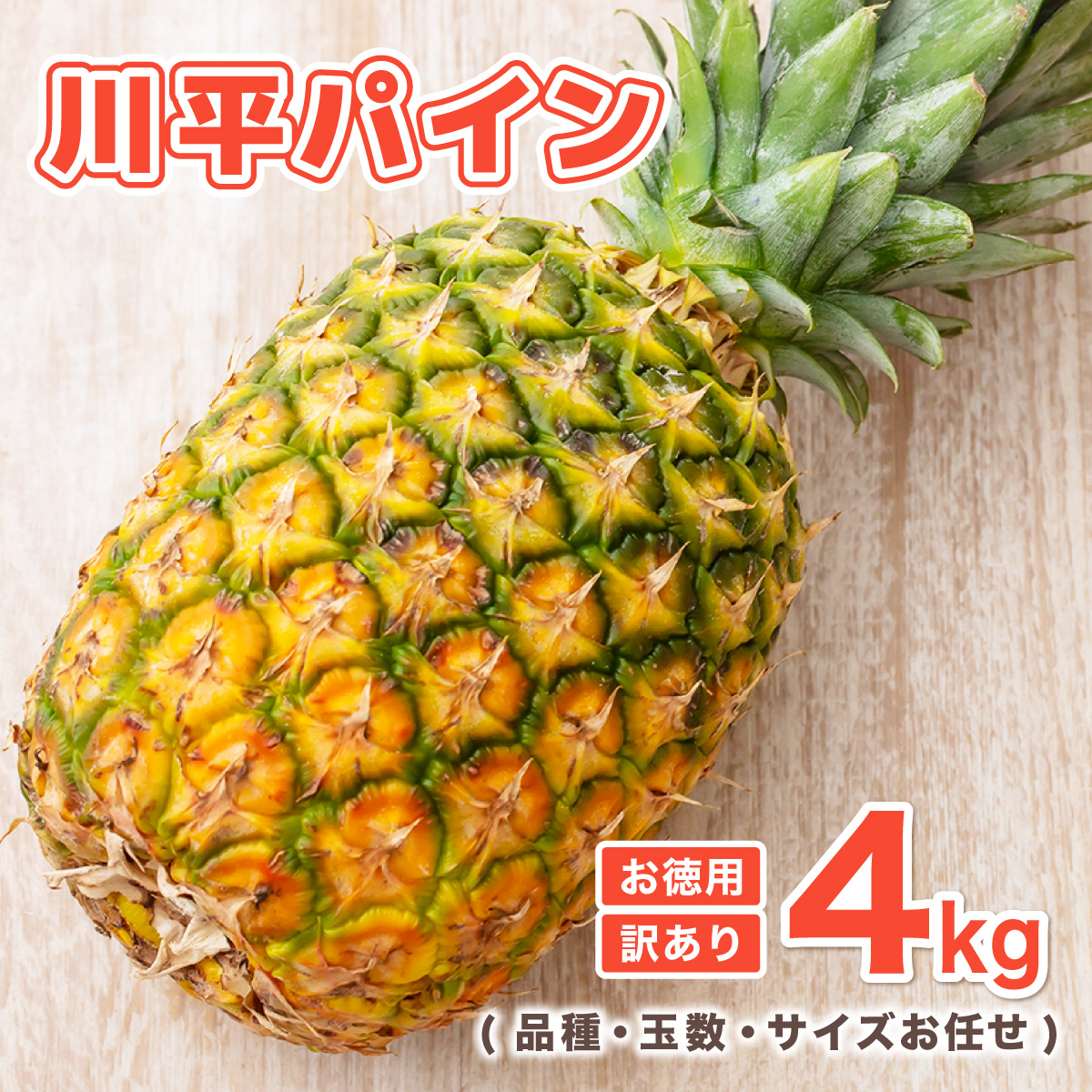 y2026N7ȍ~z약pC p󂠂4kg ( iEʐETCYC ) KN-6ꌧΊ_s14000ʕEt[c}S[EpCibv