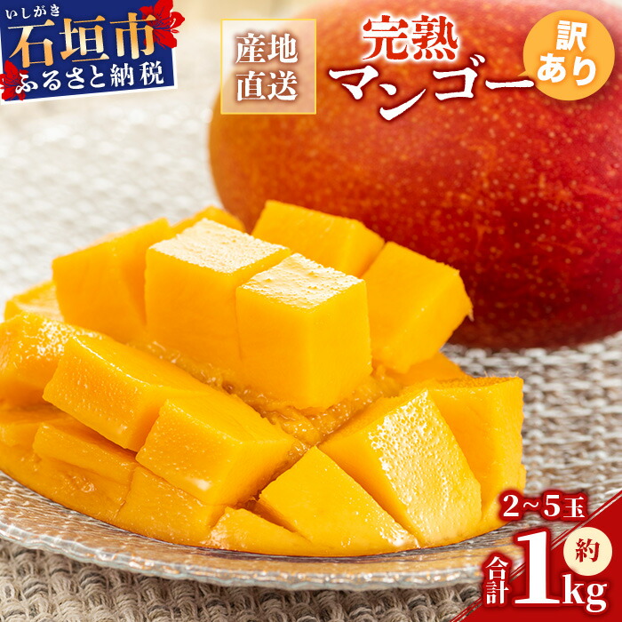【先行予約】【訳あり】 完熟 マンゴー (約1~1.2kg 2~5個)《2025年7月上旬から順次発送》 | ふるさと納税 マンゴー わけあり 不揃い 産地直送 フルーツ 果物 マンゴー  石垣 沖縄 KP-13沖縄県石垣