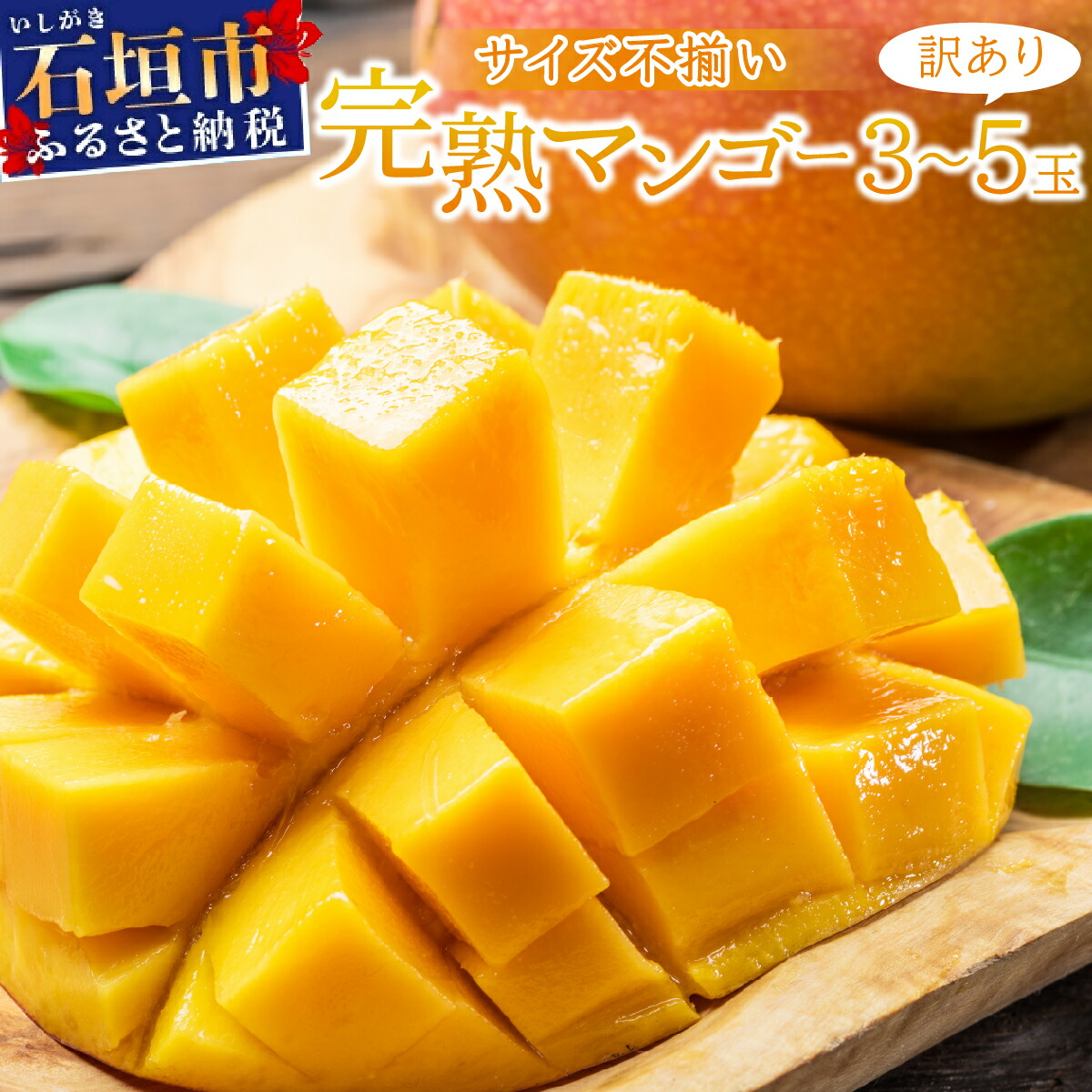 【2024年6月中旬から順次発送】【訳あり】選べる数量 サイズ不揃い 3〜5玉(1.5kg) 訳あり品 マンゴー KP-27沖縄県石垣市14000果物・フルーツマンゴー・パイナップル