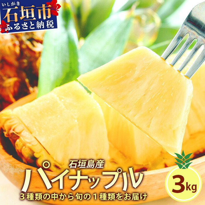 石垣島産パイナップル 2〜6個 約3kg 《2025年5月から順次発送いたします》【ふるさと納税 パイナップル 産地直送 フルーツ 果物 沖縄県石垣市 石垣 沖縄 石垣市 石垣島】 KP-14沖縄県石垣市1