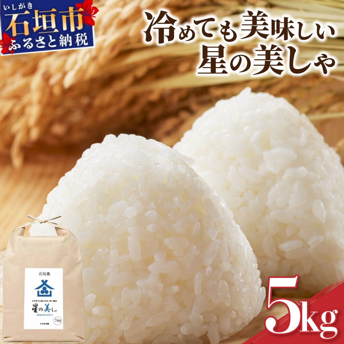 石垣島産 星の美(かい)しゃ 5kg みやぎ米屋【 日本一早い新米の産地 石垣 米 お米 産地直送 旬 ほしじるし 沖縄県 石垣市 】MK-3沖縄県石垣市16000米・パン白米