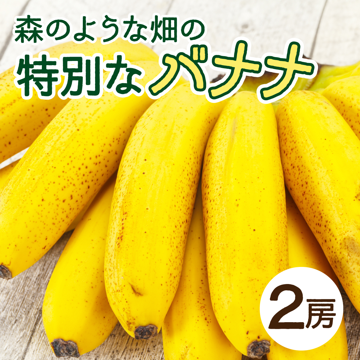 希少!こだわりの水を使い「森ような畑」で栽培する、仲原さんのバナナ【 沖縄県 石垣島 石垣島産 バナナ ばなな 農薬不使用 化学肥料不使用 】OI-16沖縄県石垣市10000果物・フルーツその他