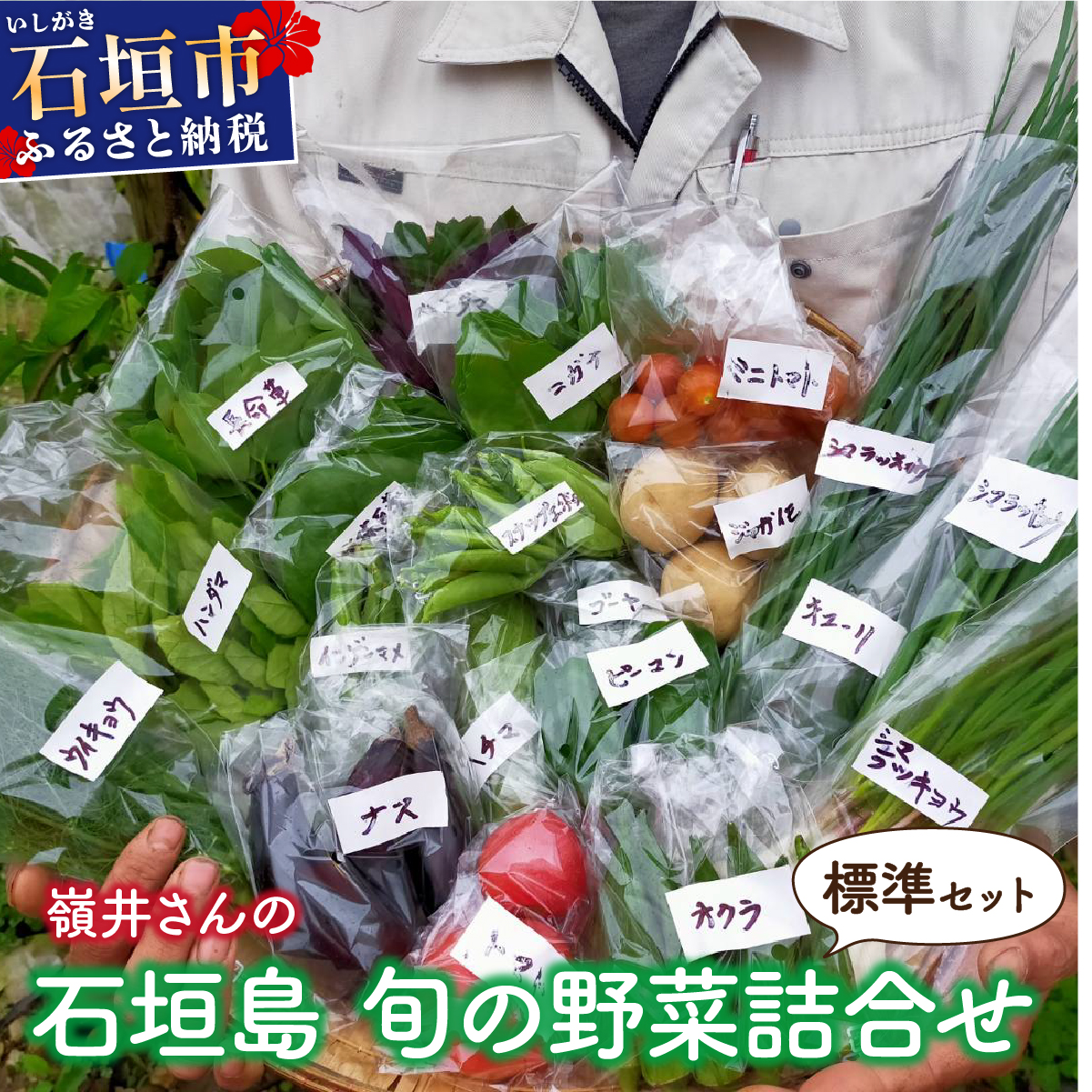 嶺井さんの石垣島旬の野菜詰合せ(標準セット)OI-22沖縄県石垣市10000野菜・きのこ