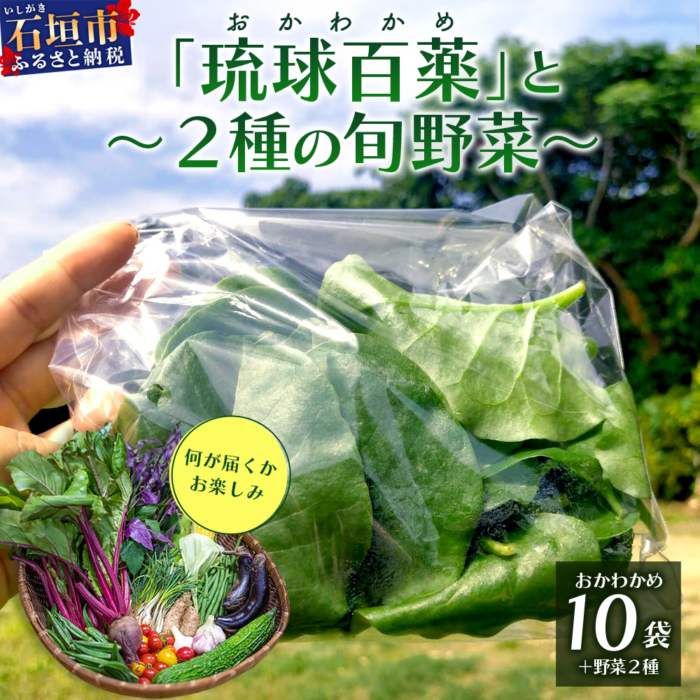 <先行予約>2026年2月順次発送/沖縄の健康長寿の秘訣「琉球百薬(おかわかめ)」10袋と旬の野菜詰め合わせ!農薬を使わない栽培方法を続けるミネイさんの野菜【 沖縄 石垣島 石垣島産