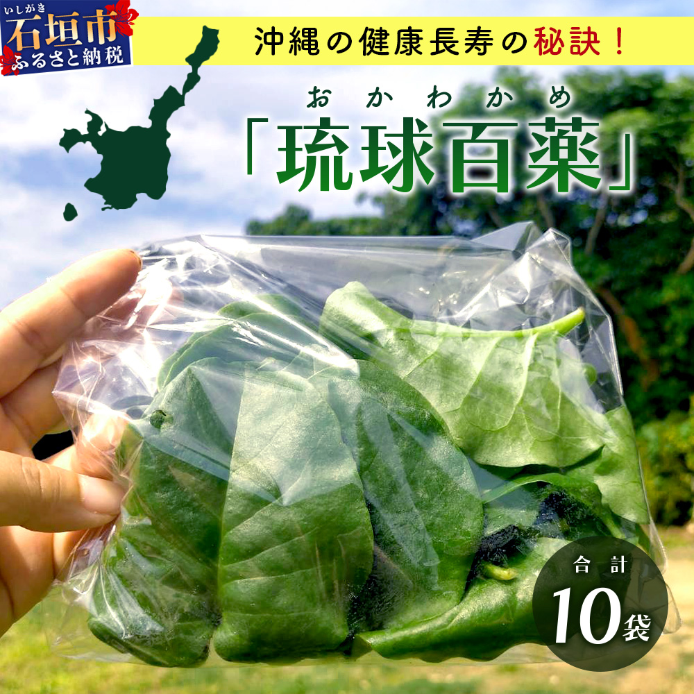 <先行予約>2026年2月順次発送/沖縄の健康長寿の秘訣「琉球百薬(おかわかめ)」10袋!農薬を使わない栽培方法を続けるミネイさんの野菜【 沖縄 石垣島 石垣島産 野菜 農薬不使用 離島