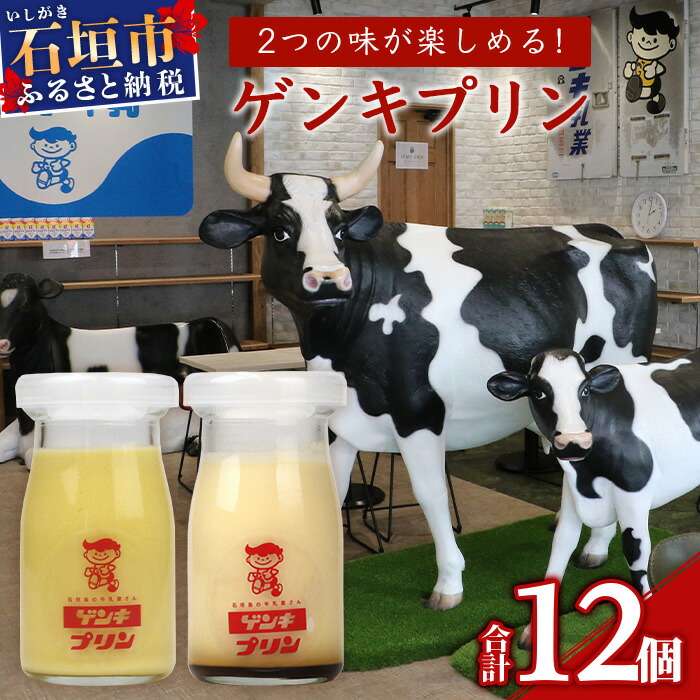 ゲンキプリン 12個 (プレーン6個、マンゴー6個)【八重山ゲンキ乳業 お土産 観光 ゲンキくん ゲンキみるく 石垣島の牛乳屋さんのプリン】OP-2【島外不出のゲンキくん製品が返礼品に!!】【