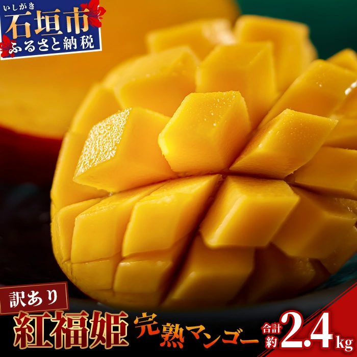 󂠂y2026N \tzugPuhvΊ_̃}S[ 2.4kg yꌧ Ί_s Yn { Ί_Y }S[ n}S[ A[EB}S[zOT-02ꌧΊ_s24000