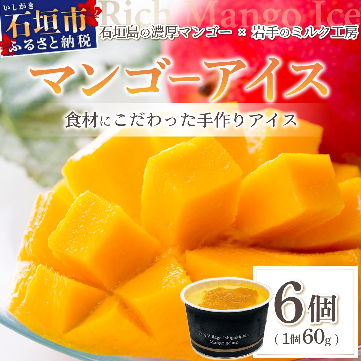 }S[ACX 6i1 60gjPI-1ꌧΊ_s12000َqEXC[cACXEWF[g