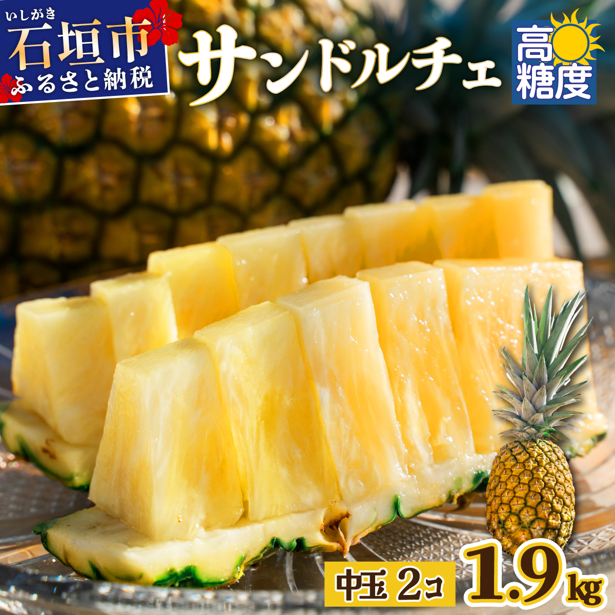 【先行予約】石垣島産 中玉サンドルチェ2玉 合計約1.9kg《2025年夏季 順次発送》【 沖縄 石垣 フルーツ パイナップル パイン サンドルチェ 産地直送 】SI-106沖縄県石垣市12000果物・フルーツ