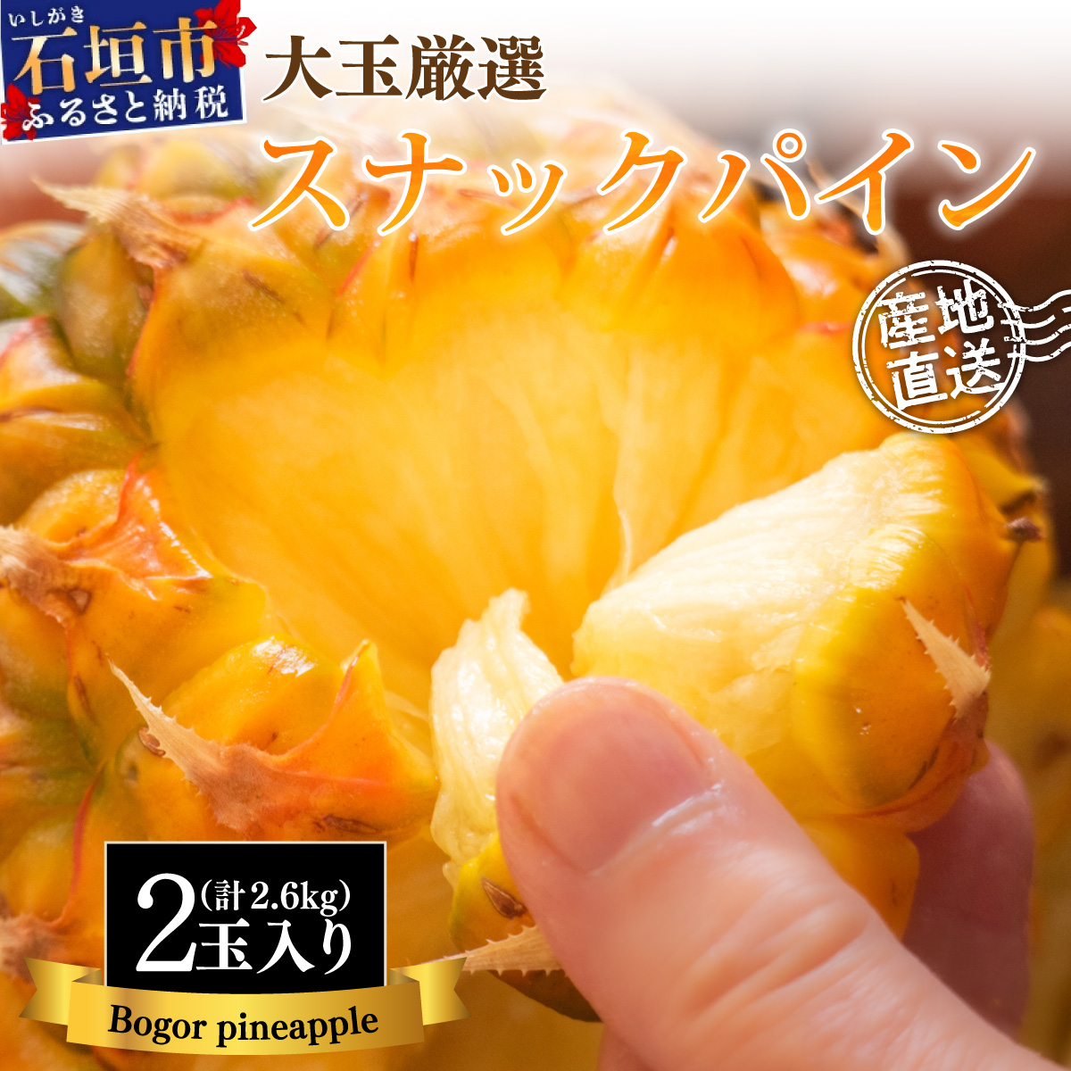 【先行予約】《2025年夏季 順次発送》石垣島産・スナックパイン、ずっしりの「大玉」2個入り SI-25沖縄県石垣市10000果物・フルーツマンゴー・パイナップル