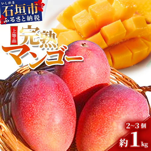 【先行予約】石垣島産 完熟マンゴー 約1kg エコ箱入り(2〜3個入り)2025年6月末〜7月下旬発送 SI-31-1沖縄県石垣市23000果物・フルーツマンゴー・パイナップル