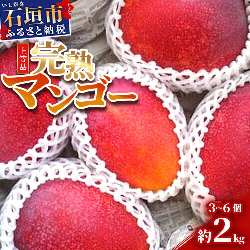 ys\zΊ_Y n}S[ 2kg GRi3`6j2025N6`7{ SI-32ꌧΊ_s40000ʕEt[c}S[EpCibv