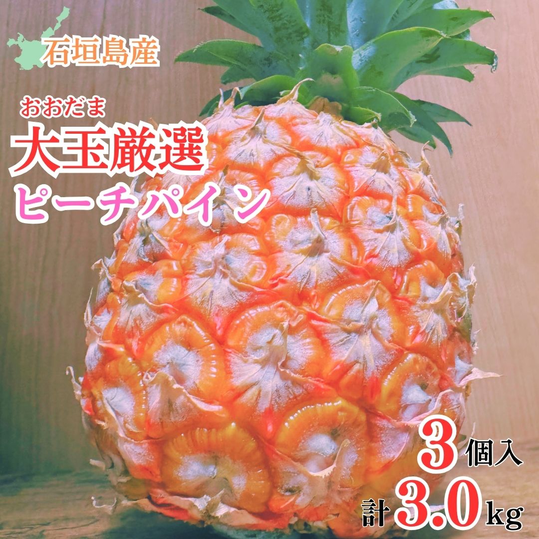 【先行予約】《2025年夏季 順次発送》石垣島産・大玉ピーチパイン 3玉 約3.0kg【 沖縄県石垣市 石垣島 フルーツ 果物 パイン パインアップル パイナップル 産地直送 】SI-37沖縄県石垣市12000