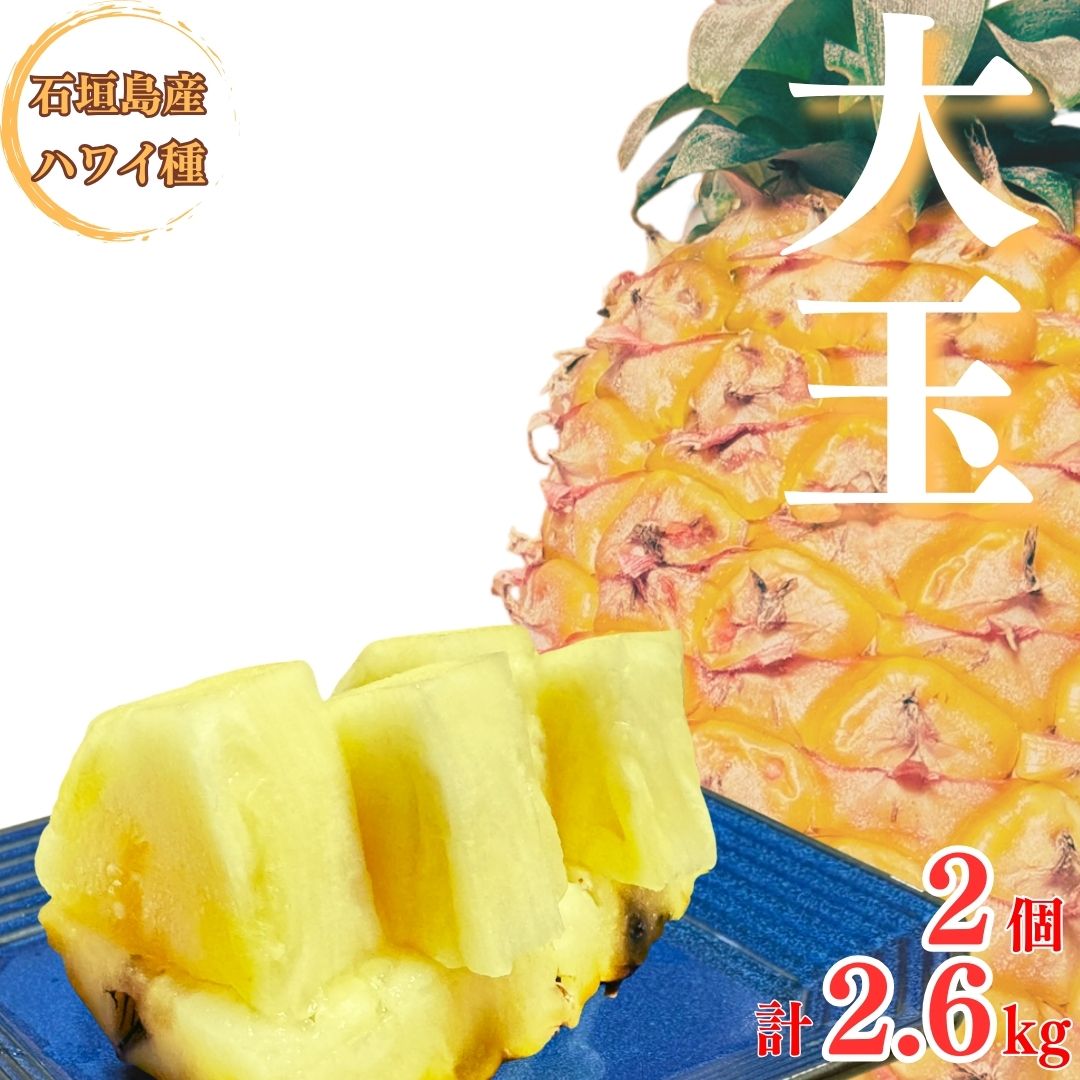 【先行予約】《2025年夏季 順次発送》夏実パイン(ハワイ種)大玉2〜3個 計2.6kg【 産地直送 沖縄 石垣 フルーツ パイナップル パイン ハワイ 夏美パイン 】SI-47沖縄県石垣市10000果物・フルー