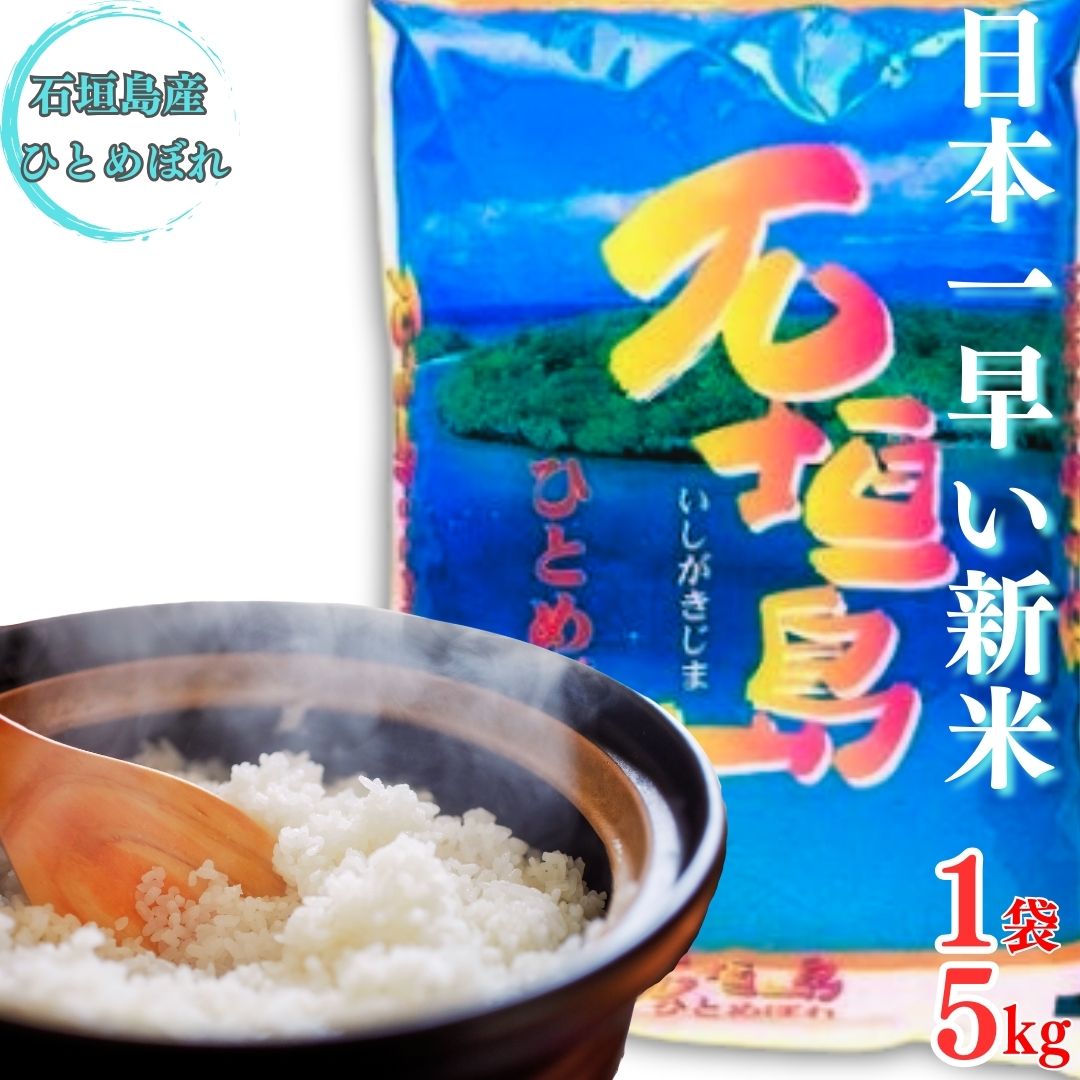 【石垣島産ひとめぼれ】日本最南端の日本一早い新米・5kg 【 沖縄県 石垣市 米 お米 新米 産地直送 】SI-58沖縄県石垣市14000米・パン白米