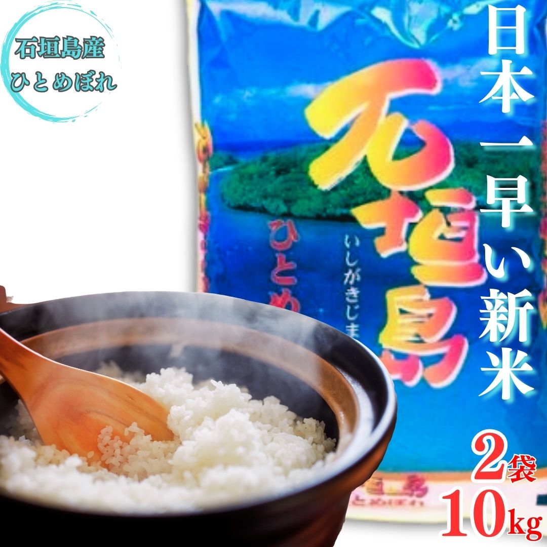 【石垣島産ひとめぼれ】日本最南端の日本一早い新米・10kg 【 沖縄県 石垣市 米 お米 新米 5kg×2袋 】SI-59-1沖縄県石垣市40000米・パン白米