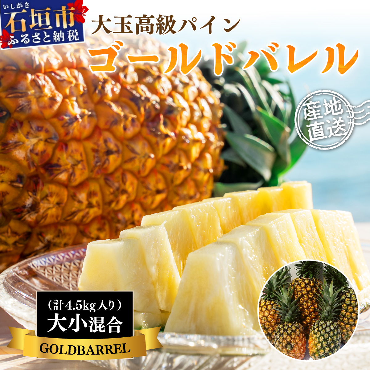 【先行予約】《2025年夏季 順次発送》石垣島産・ゴールドバレルパイン 高級パインですが「訳あり」の大小混合セット SI-7-1沖縄県石垣市18000果物・フルーツマンゴー・パイナップル