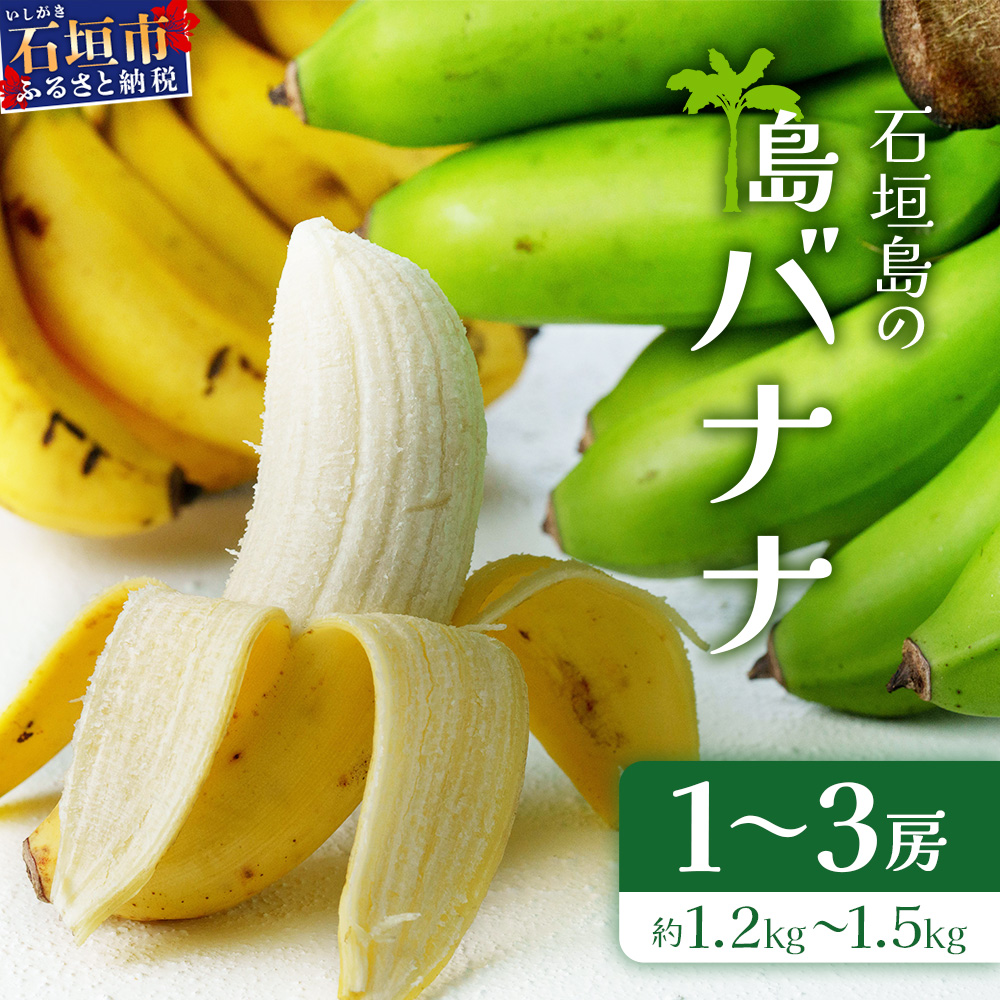<先行予約>石垣島の島バナナ、1〜3房(約1,2〜1,5kg前後入り)《4月中旬〜順次発送》爽やか酸味のスッキリ系バナナ、少し冷やしてもイイんです! SI-33沖縄県石垣市10000果物・フルーツそ
